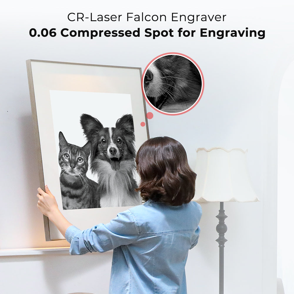 10W Creality Laser Falcon Engraver - Image 4